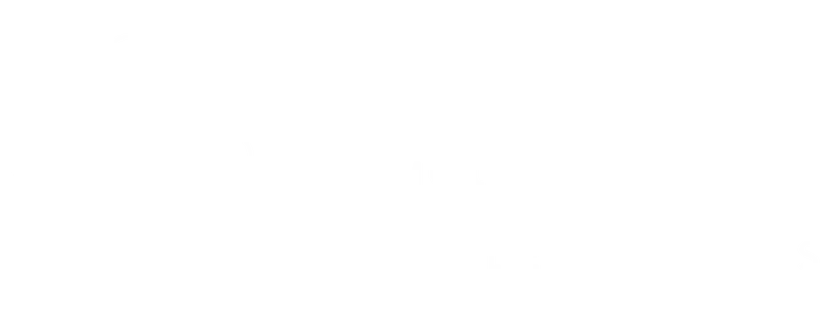 Zanini Sociedade de Advogados
